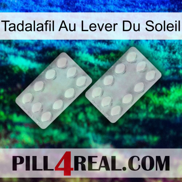 Sunrise Tadalafil 17